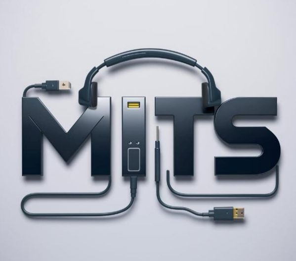 Megha It services and solutions